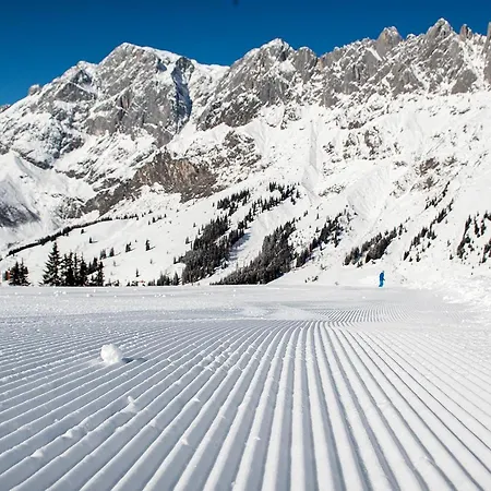 シャレー Skyberg Mühlbach am Hochkönig
